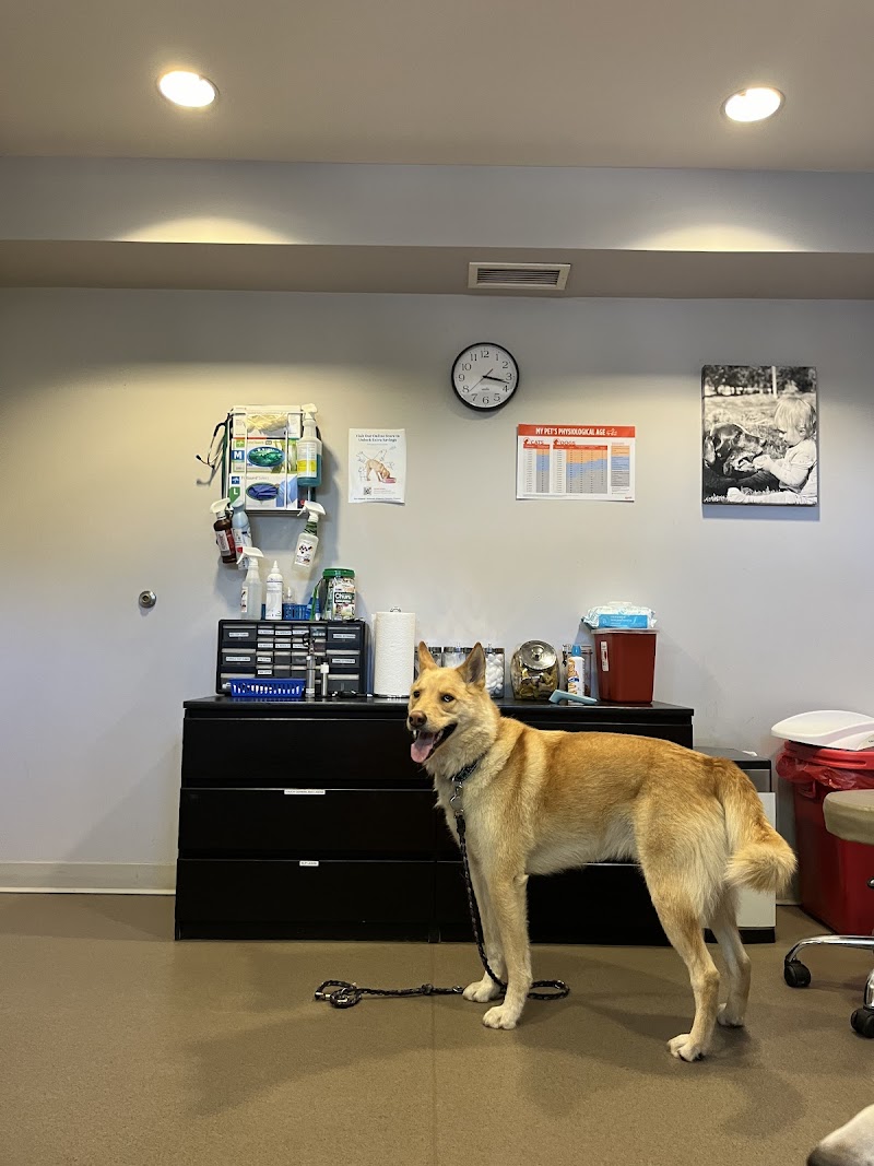 Highlands Animal Clinic