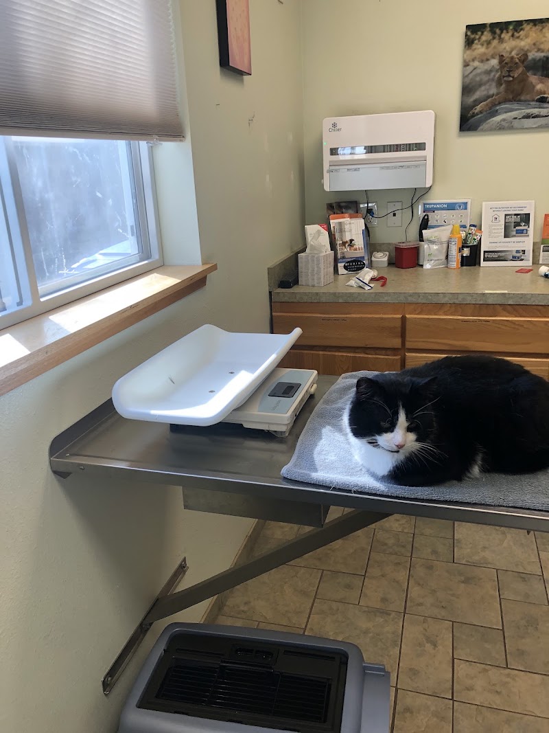 Wildwood Animal Hospital