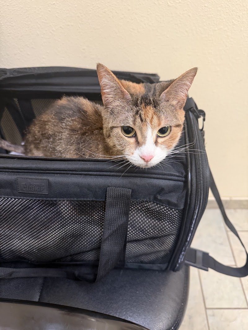 Wildwood Animal Hospital