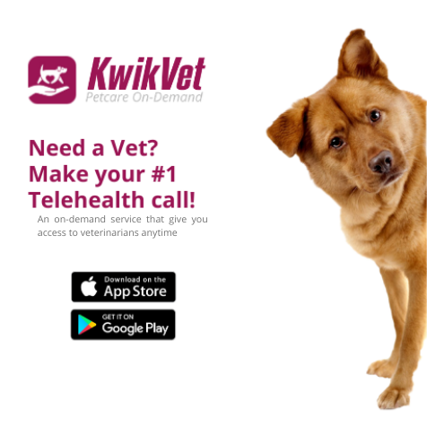 KwikVet - 24 hour veterinarians