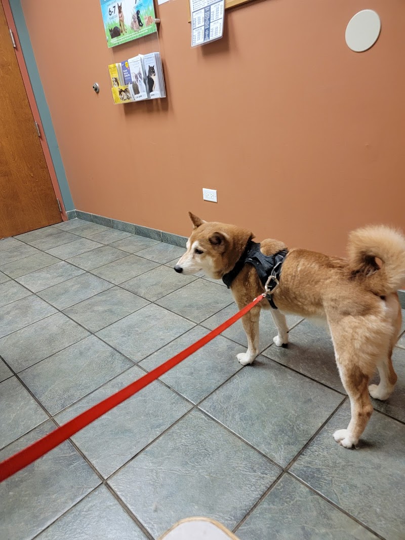 Elmhurst Animal Care Center