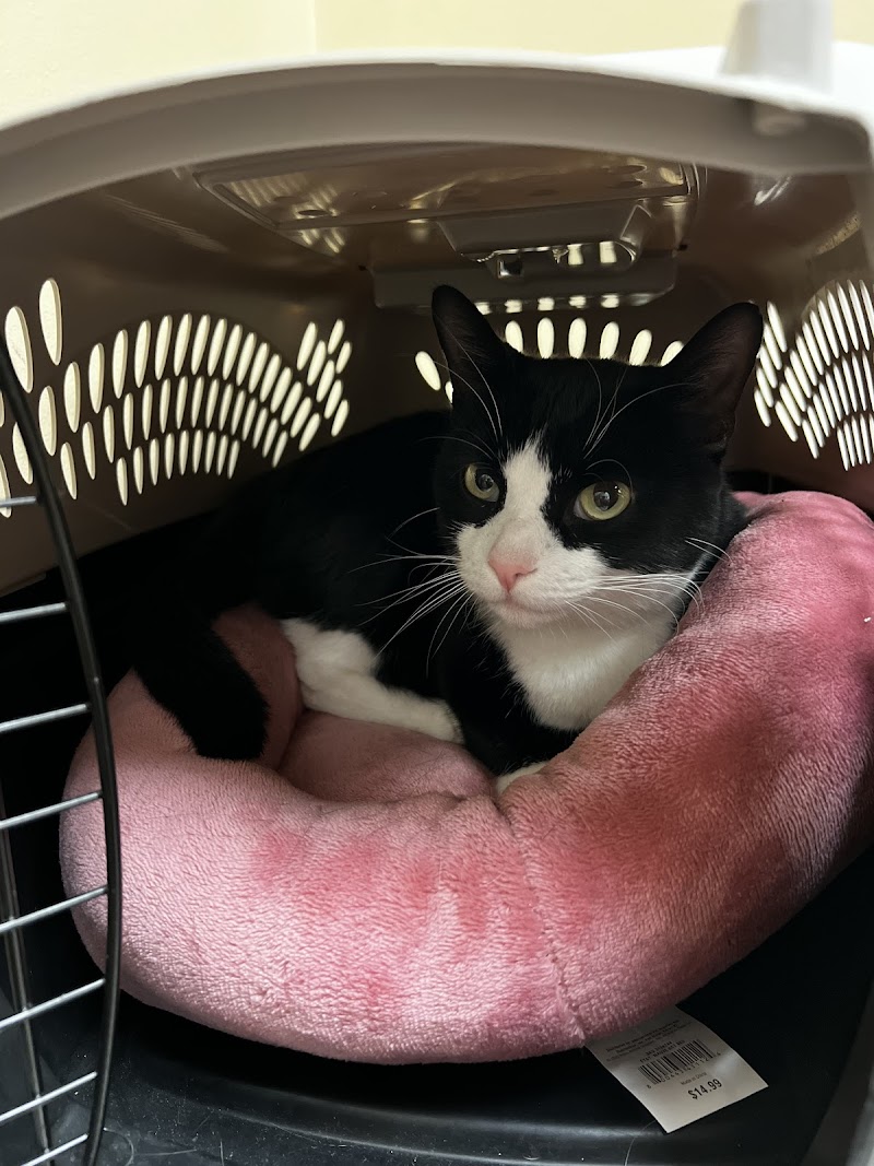 Elmhurst Animal Care Center