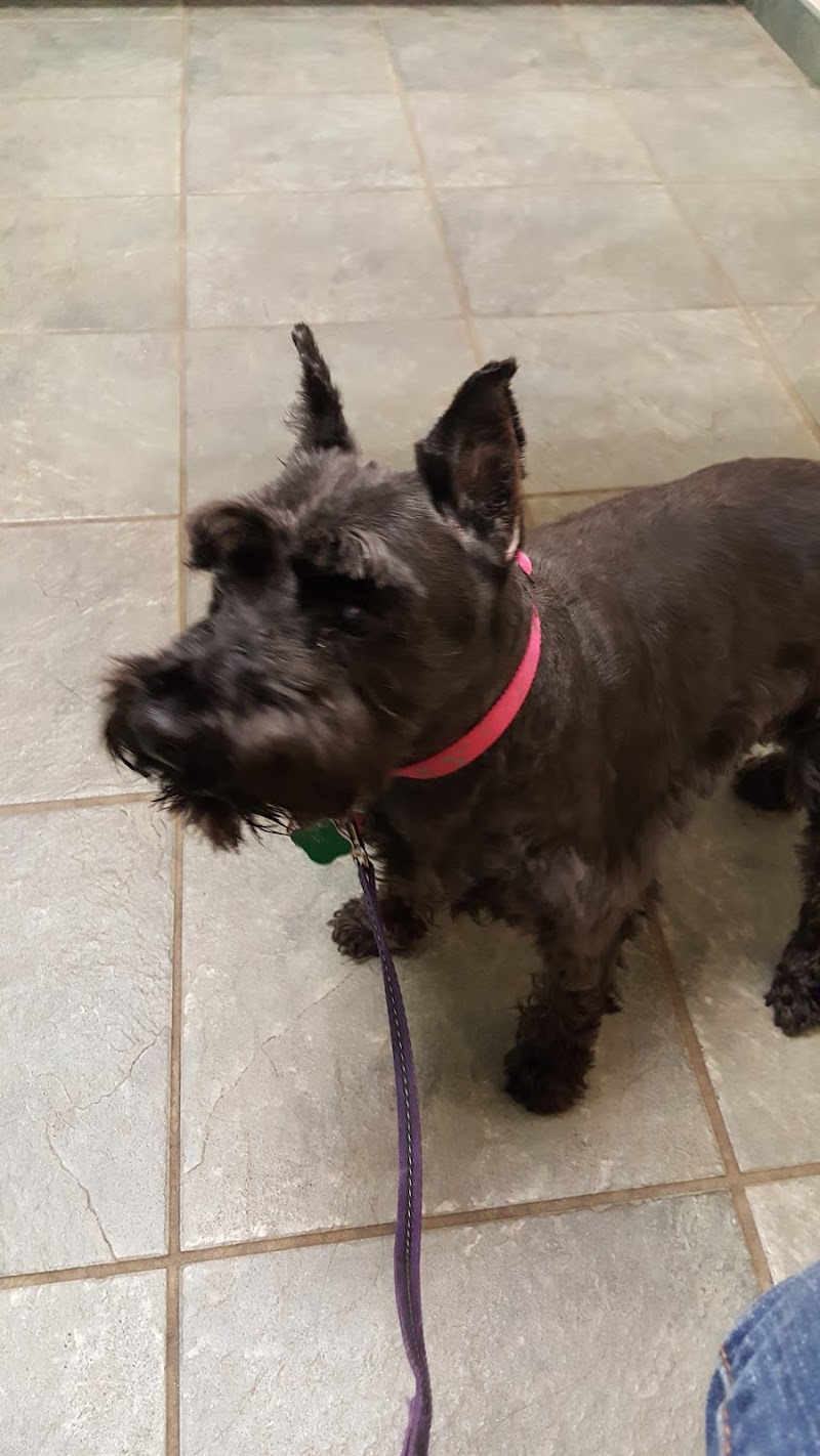 Elmhurst Animal Care Center