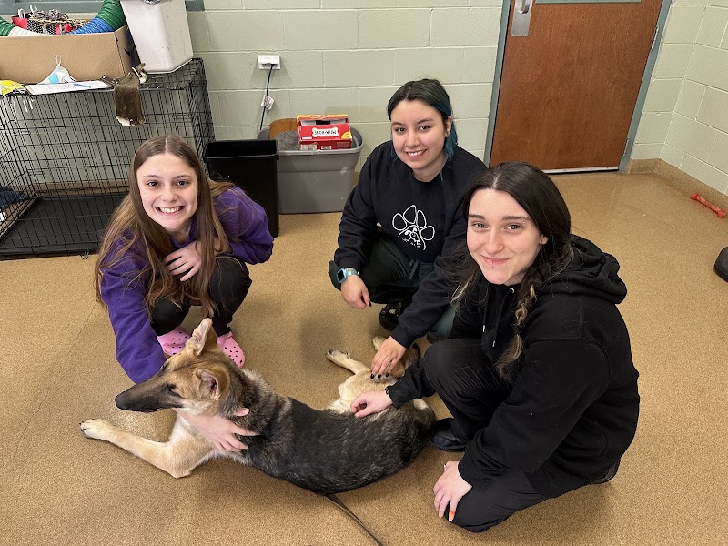 Elmhurst Animal Care Center - Chicago