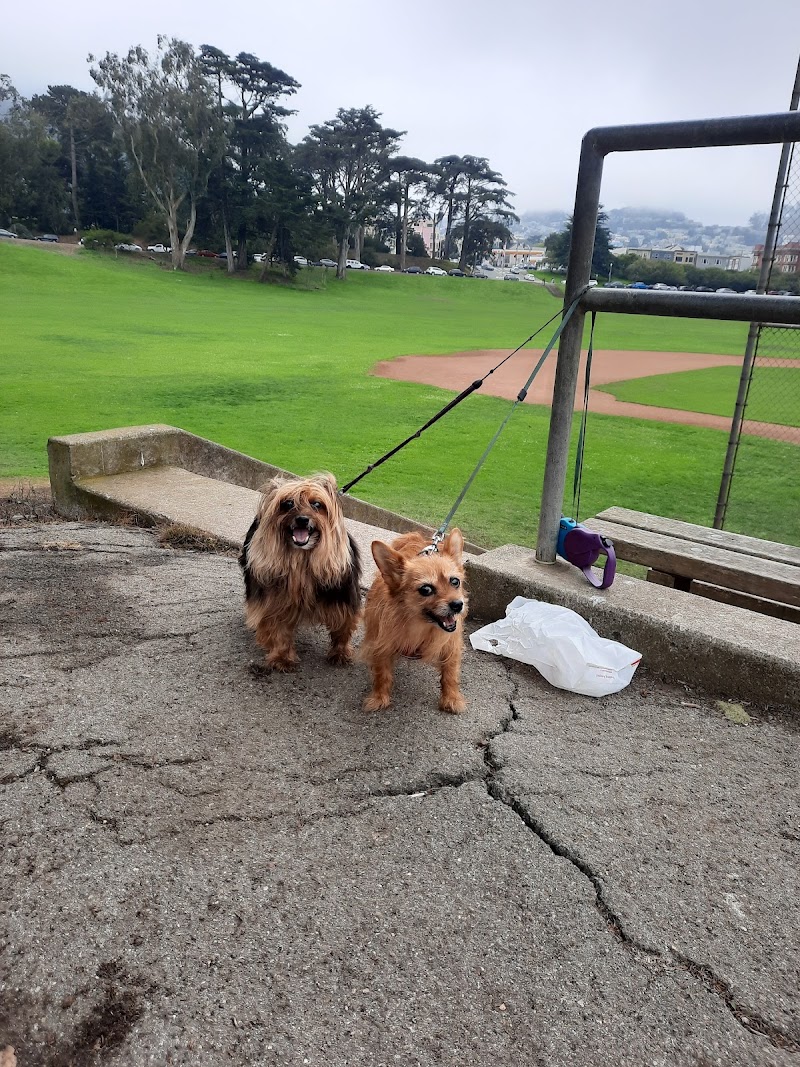Park Animal Hospital