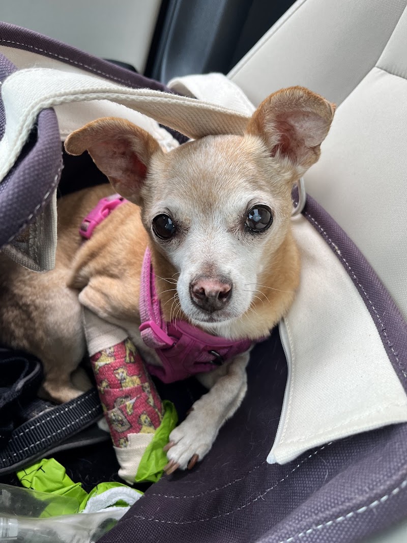 Park Animal Hospital