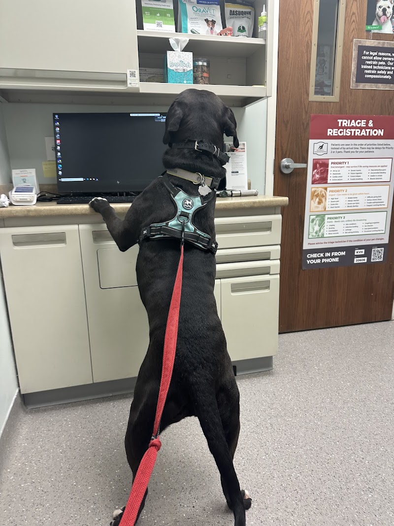Kings Veterinary Hospital - Loveland