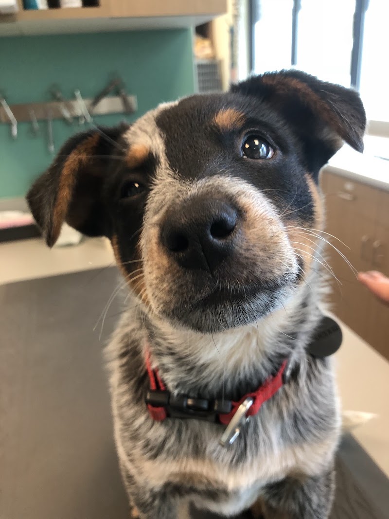 Kenton Animal Hospital