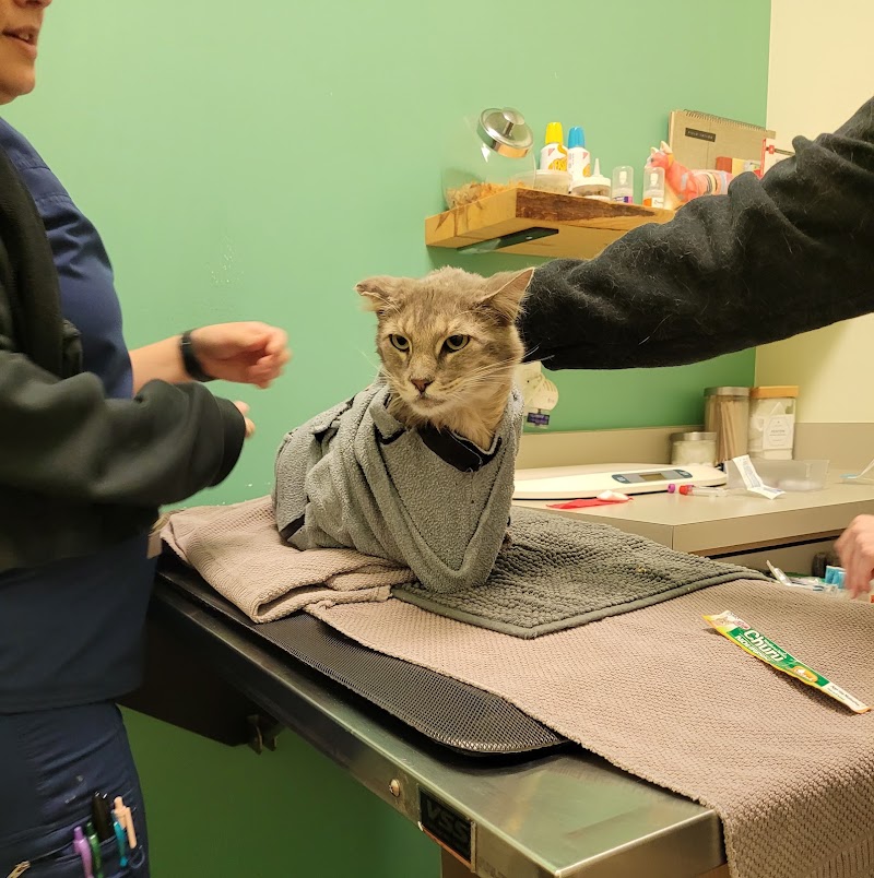 Kenton Animal Hospital