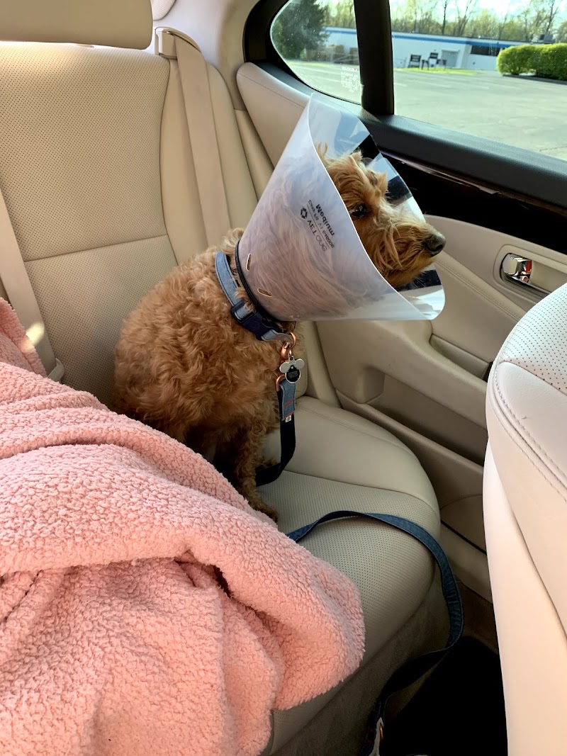 East Hills Veterinary Clinic