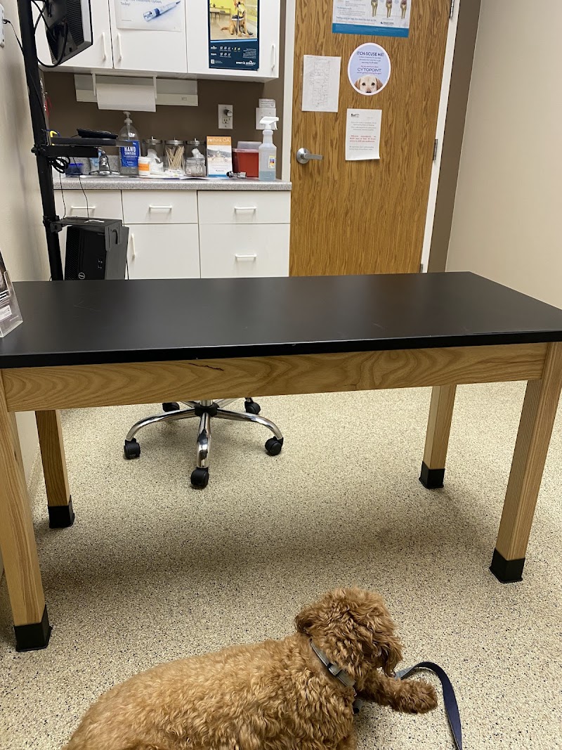 East Hills Veterinary Clinic