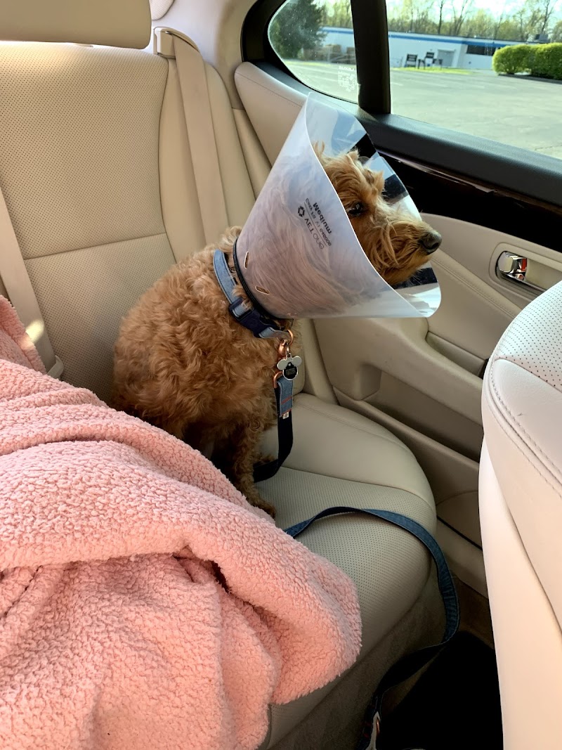East Hills Veterinary Clinic