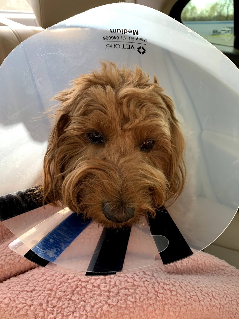 East Hills Veterinary Clinic