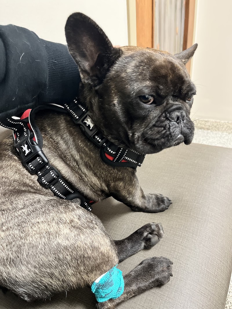 Allied Veterinary Emergency & Referral