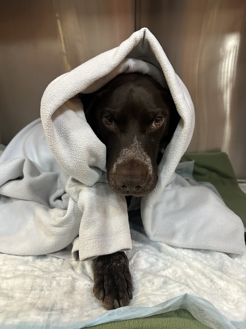 Pacific Veterinary Emergency and Specialty Hospital
