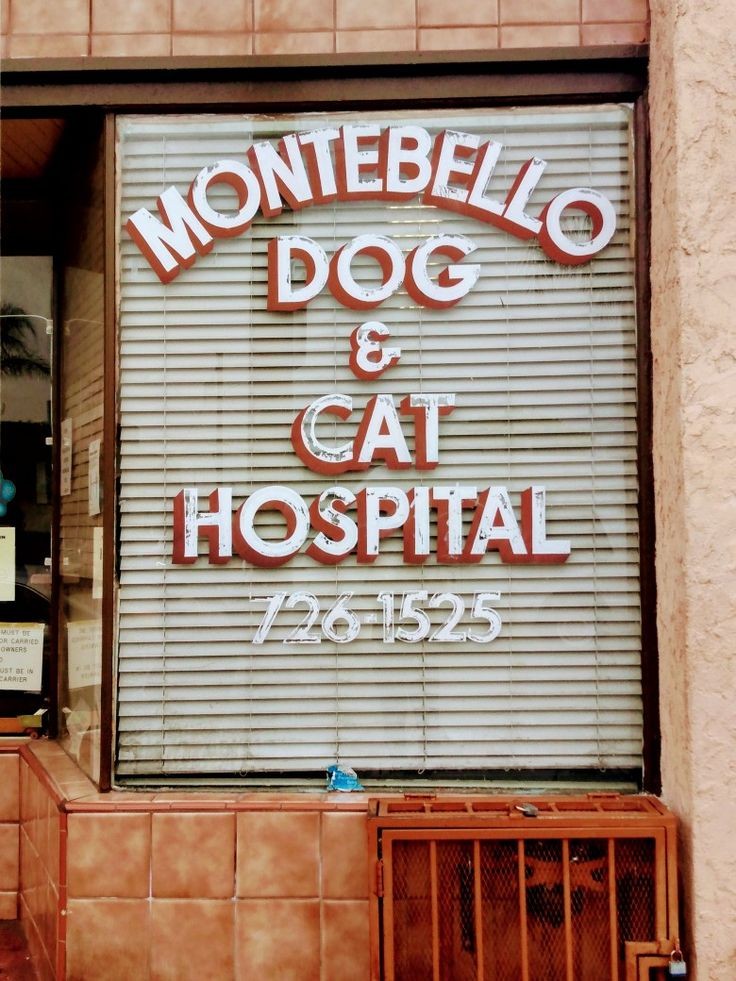 Montebello Veterinary Hospital