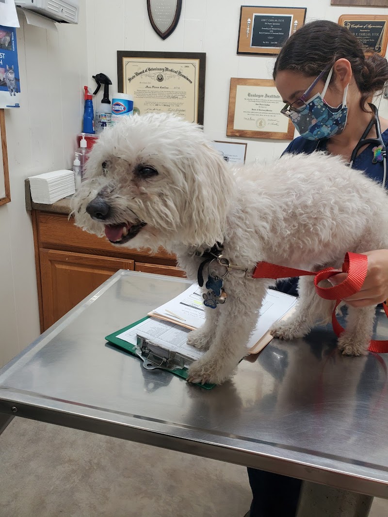 Montebello Veterinary Hospital