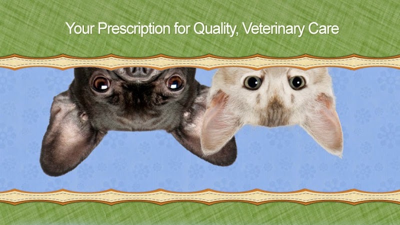 Camden Pet Hospital
