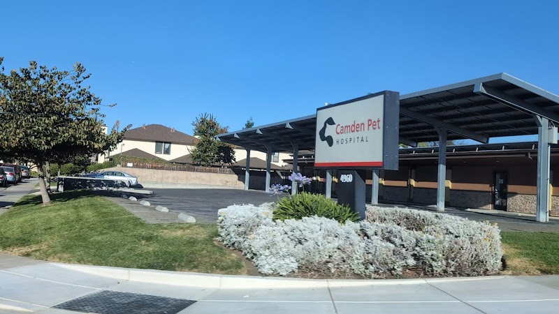 Camden Pet Hospital