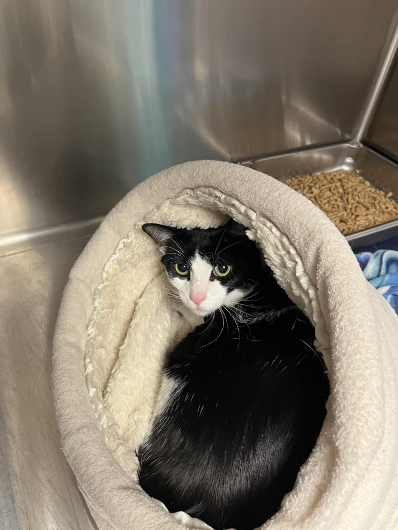 Peninsula Pet Clinic - Portland