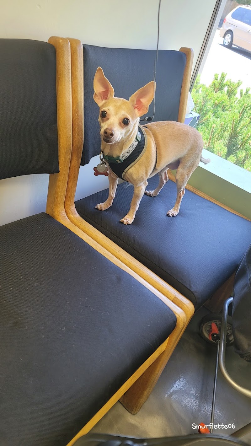 Peninsula Pet Clinic