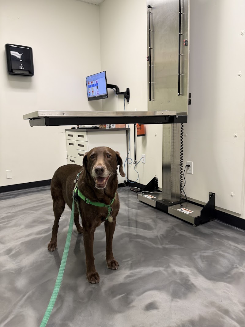 Peninsula Pet Clinic
