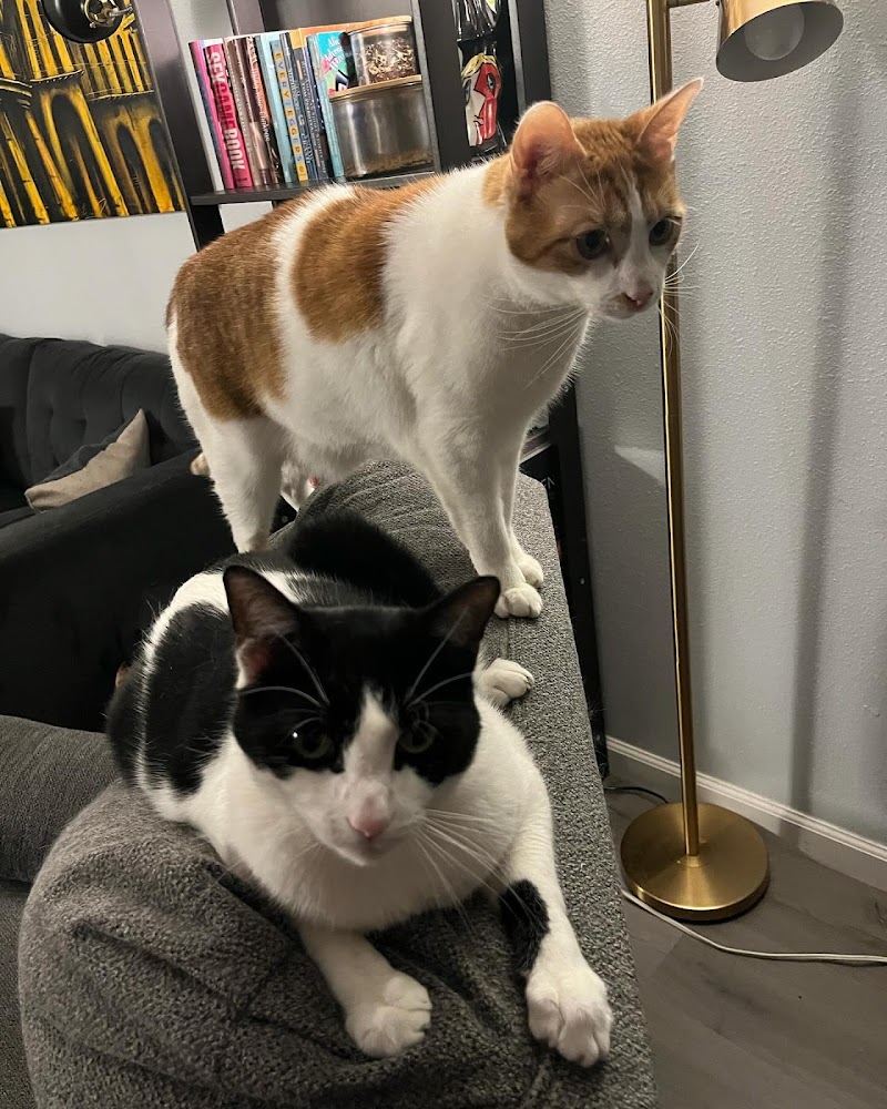 Peninsula Pet Clinic