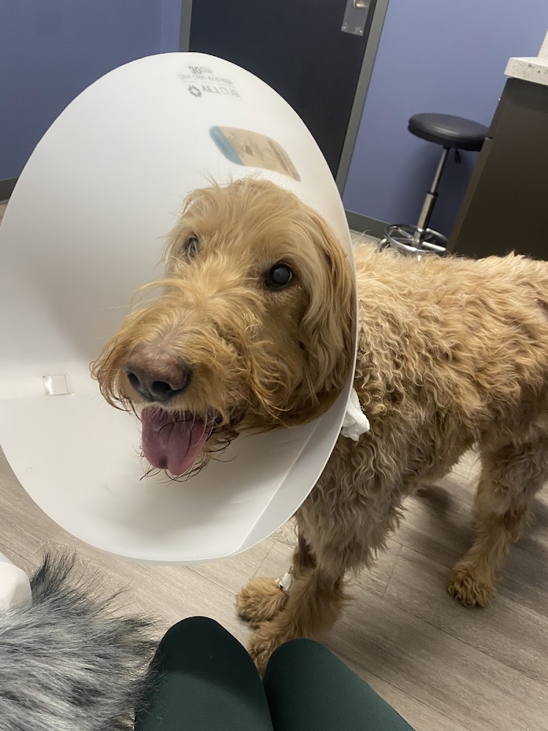 Emergency Veterinary Care Centers