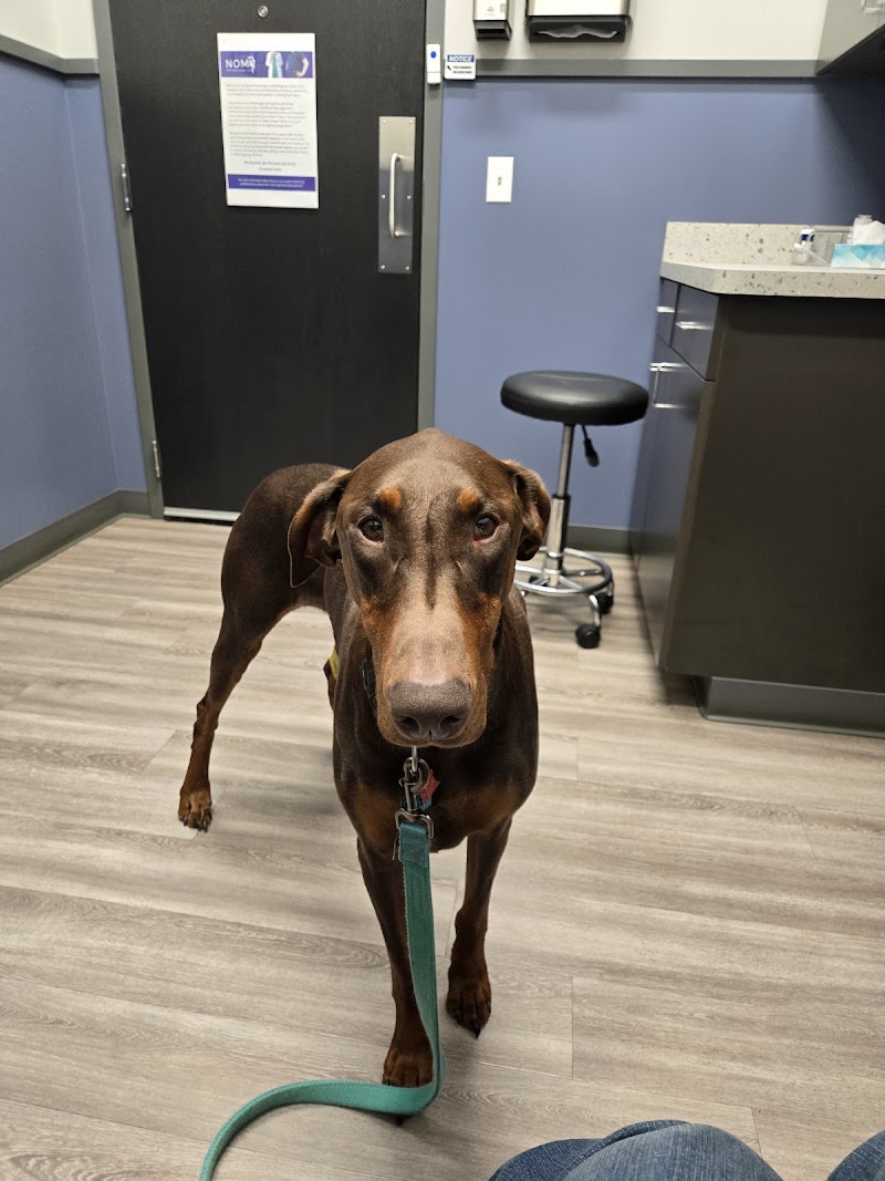 Emergency Veterinary Care Centers