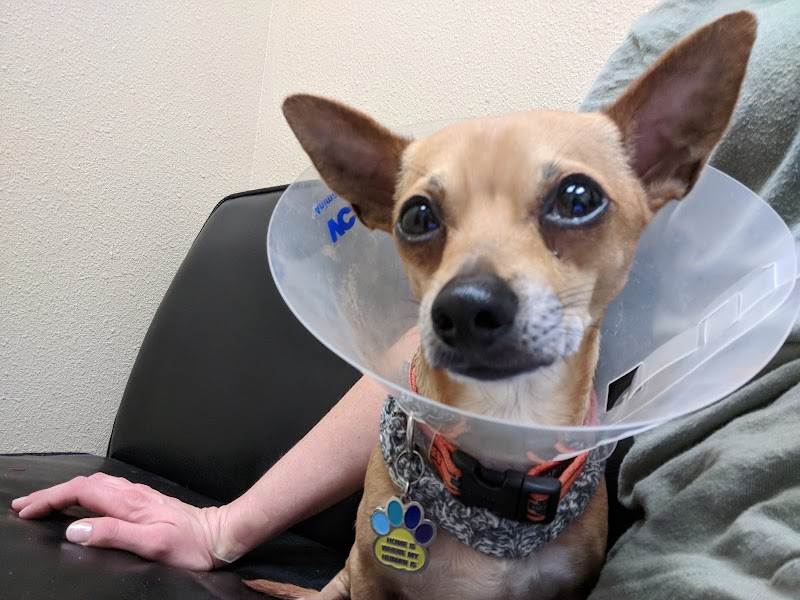 VCA Lakewood Animal Hospital