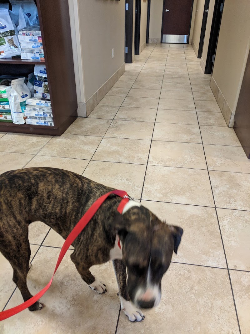 VCA Lakewood Animal Hospital