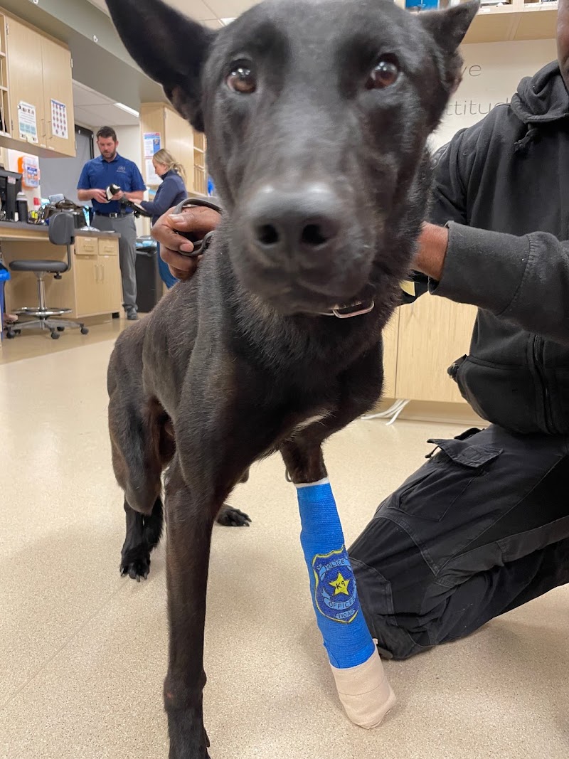 VCA West Los Angeles Animal Hospital
