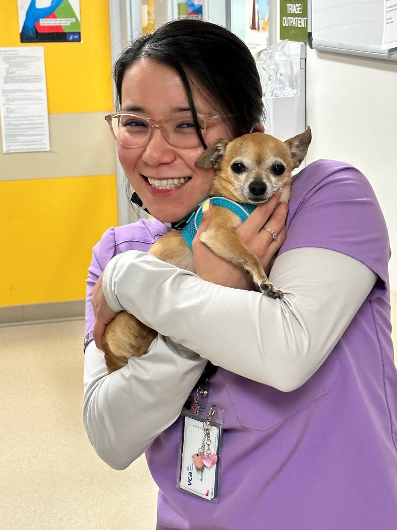 VCA West Los Angeles Animal Hospital