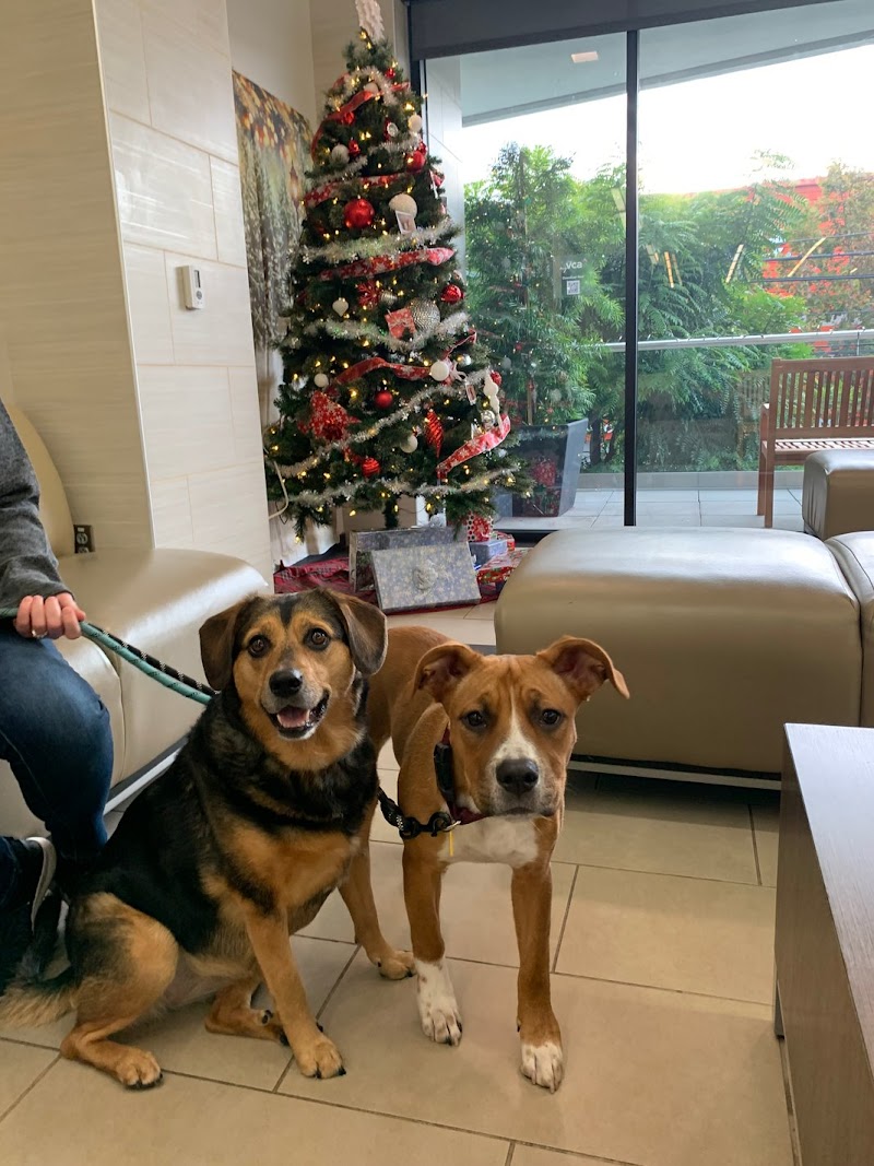 VCA West Los Angeles Animal Hospital
