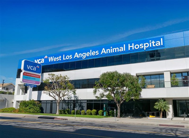 VCA West Los Angeles Animal Hospital