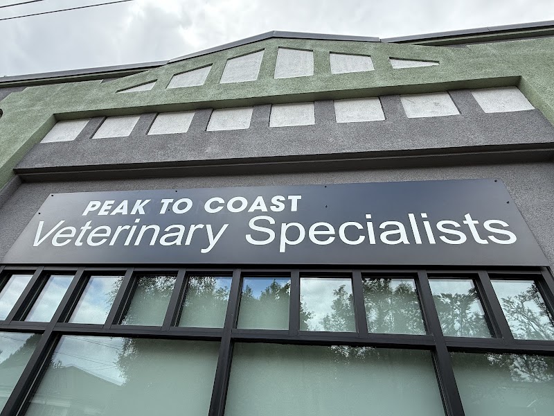 Peak to Coast Veterinary Specialists Otology & Dermatology