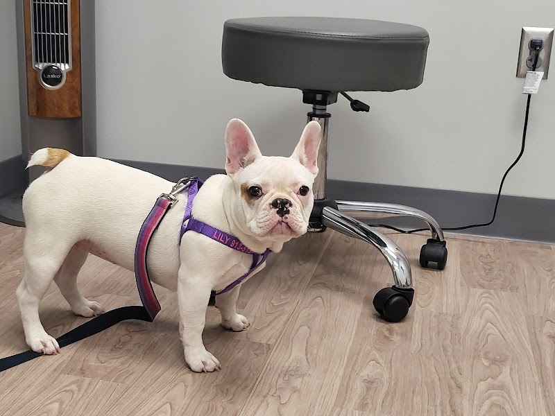 Sirius Veterinary Orthopedic Center
