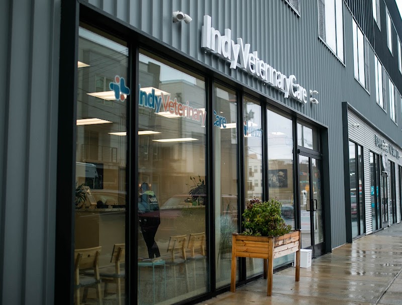 Indy Veterinary Care - Philadelphia