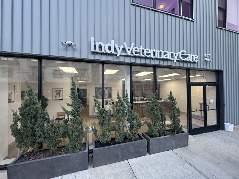 Indy Veterinary Care