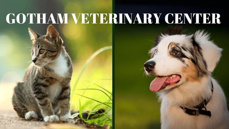 Gotham Veterinary Center