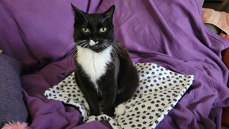 Gotham Veterinary Center