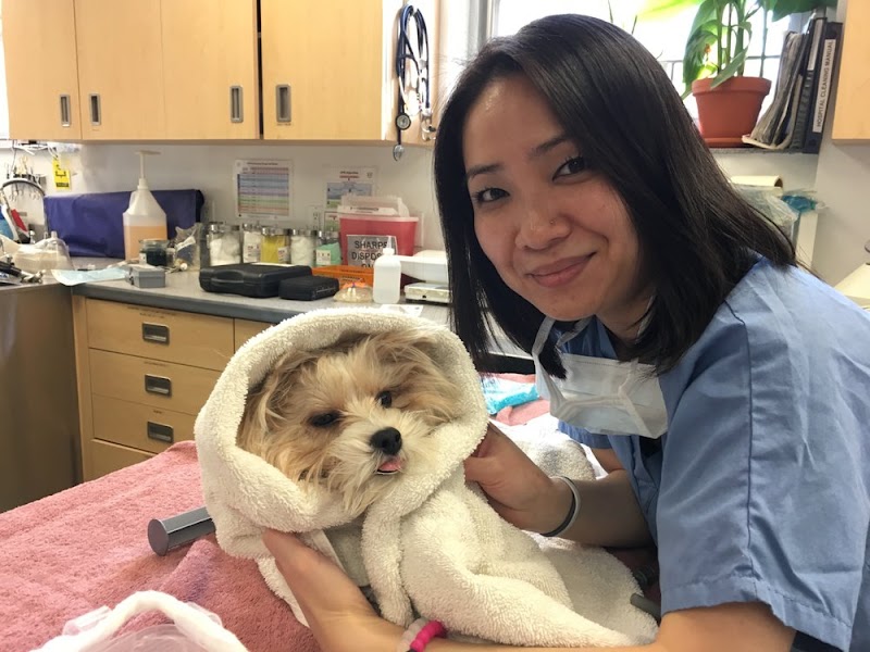 Gotham Veterinary Center