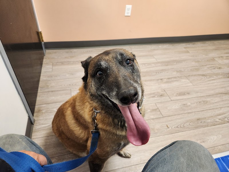 Burnham Park Animal Hospital