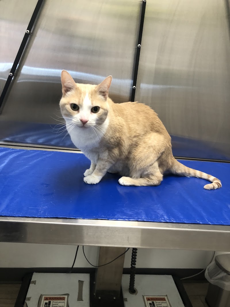 Burnham Park Animal Hospital - Chicago
