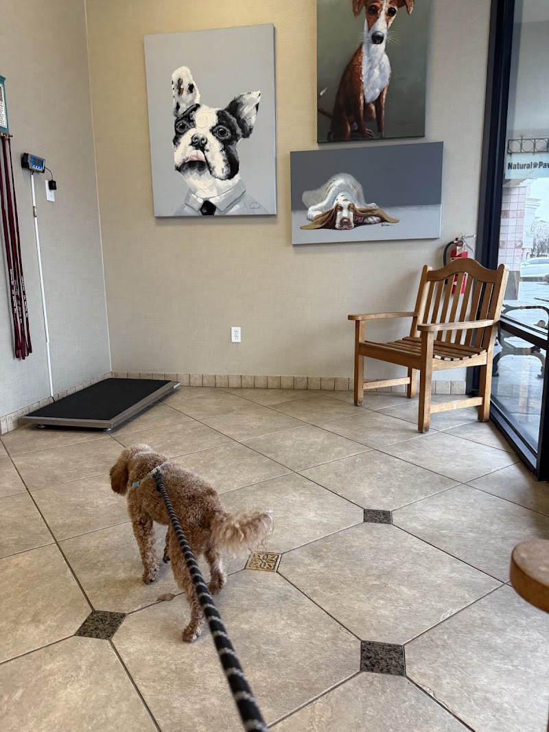 The Village Vet at Sterling Ridge