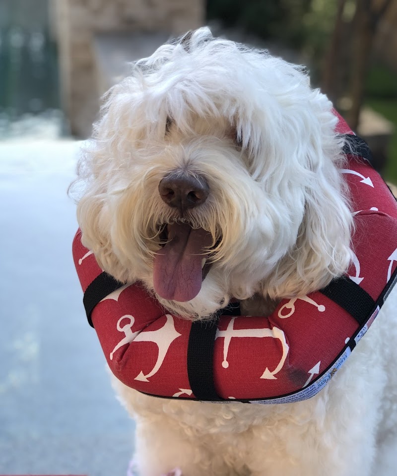 The Village Vet at Sterling Ridge