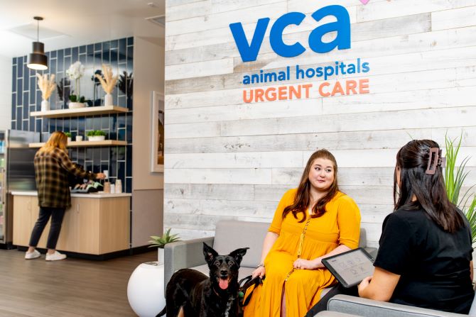 VCA Animal Hospitals Urgent Care - Mar Vista