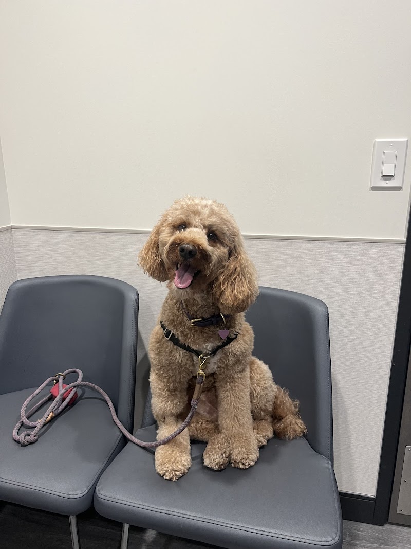 VCA Animal Hospitals Urgent Care - Mar Vista