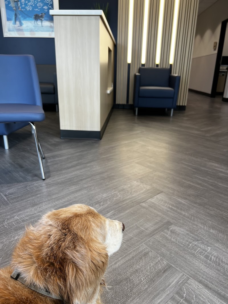 VCA Animal Hospitals Urgent Care - Mar Vista