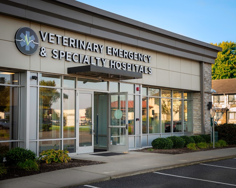 Veterinary Emergency & Specialty Hospital (VESH) - West Springfield